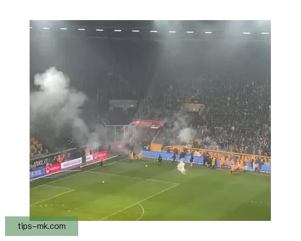 德累斯顿与赫塔球迷互掷烟火引发冲突 比赛中断20分钟局势紧张